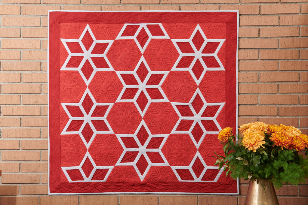 BERNINA 790 ULTRA